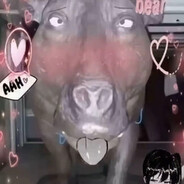 尿高只为遮住泪