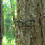 TreewithGlasses