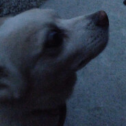 декомраз2021