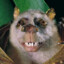 barfbats