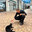 KURDHİSPEEK