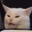 gatosei
