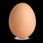 egg