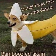 Banana Dog