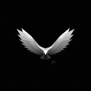 tyson - steam id 76561199031360641