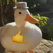 Tio Paloma 3.0 PMA imu