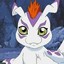 gomamon