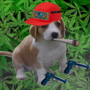 KindaHigh