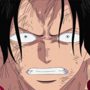 波特卡斯·D·艾斯