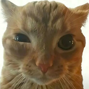 o.O
