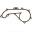 Toyota Tacoma water pump gasket