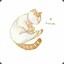 猫猫快跑
