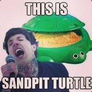 Sandpit Turtle