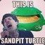 Sandpit Turtle