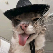 BigBelarusCat