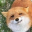 Nervskij avatar
