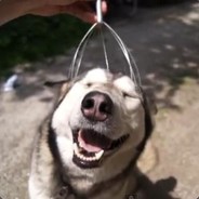 人生导师吕中布