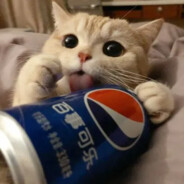 校园网让我与厨房绝缘