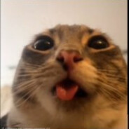 ШНЁНЯ's avatar