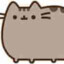 pusheen