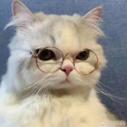 仙人掌上冰淇淋