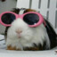 Cobasho incognito