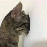 长矛粘屎戳谁谁死