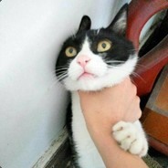 没有感情的连败机器