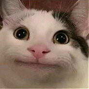 Ap0L1oXD