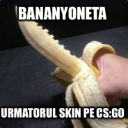 ananas CSGO.NET