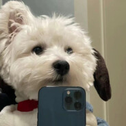 每天都要拉噗噗