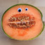 Melon