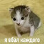 Zdarovchik
