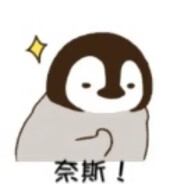 叫你上你是不是尔多龙