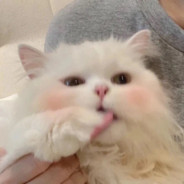 难道他真的是天才