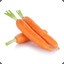 carrot on