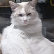 我睡觉的时候不困