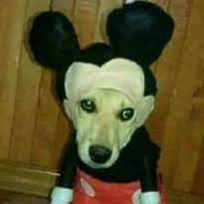 Mickey Mouse