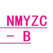 NMYZC赠礼B