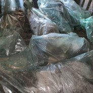 ꑭРУСНЯ В ПАКЕТІꏢ