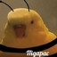 вадик гондольер