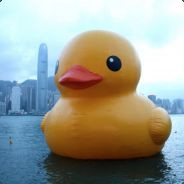 Giant Duck