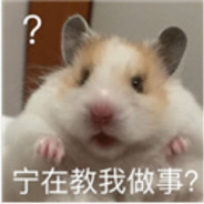 再也不玩游戏了