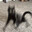 Unhandled Exception's Avatar