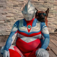 你也成为了遗憾