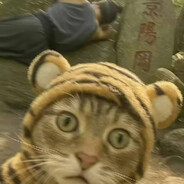 八万年马刺球迷