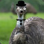 the fascist emu