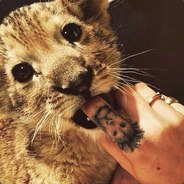 Kusa Kusa - steam id 76561197961168251