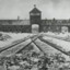 jews  reformatory