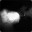 Zooplankton